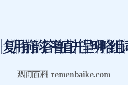 复用前韵答鲁直并呈明略组词是什么意思的图片